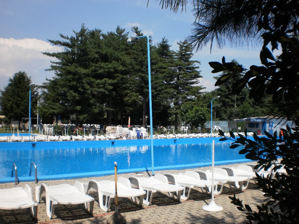 Piscina con lettini, incorniciata dal verde
