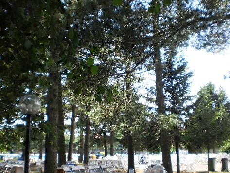Tavoli e sedie all’ombra degli alberi