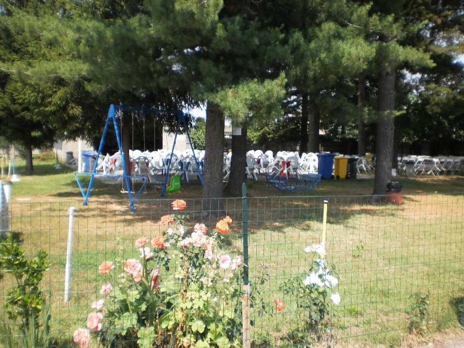 Rose davanti al prato alberato e alla zona con tavoli e sedie